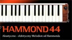 HAMMOND 44 - MELODION